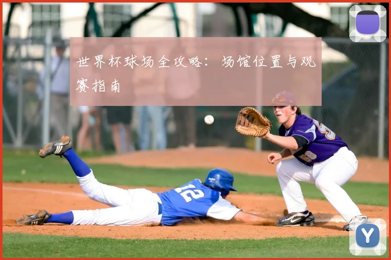 世界杯球场全攻略：场馆位置与观赛指南
