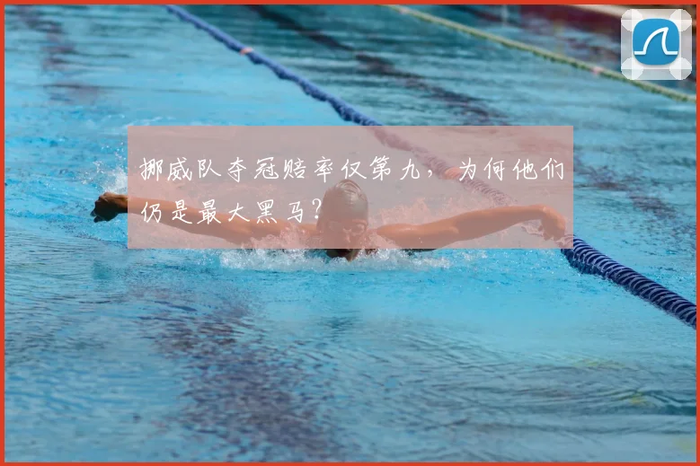 挪威队夺冠赔率仅第九，为何他们仍是最大黑马？